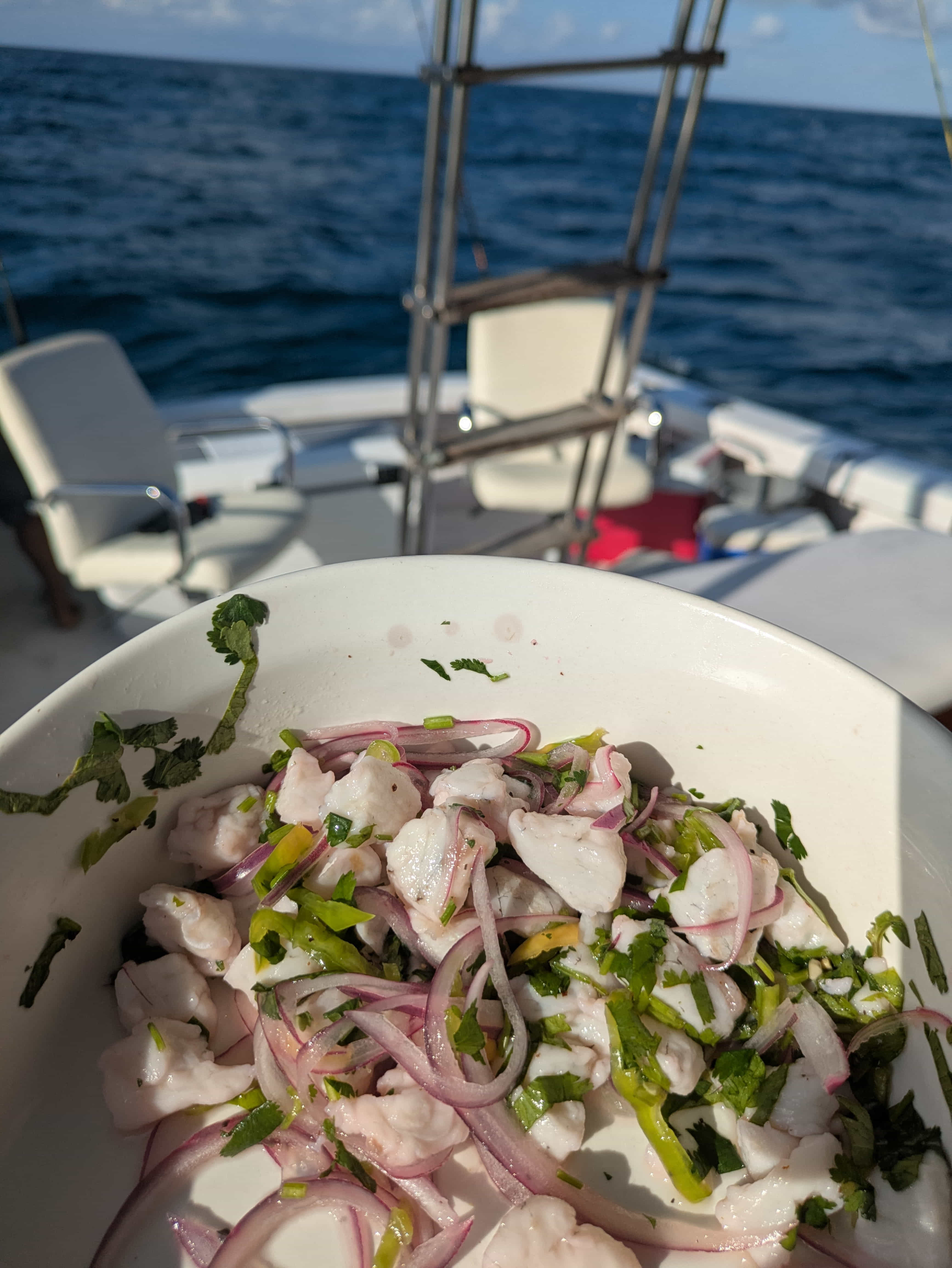 Zarza Expeditions Cancun adventure media 4 PXL_20250427_222721420