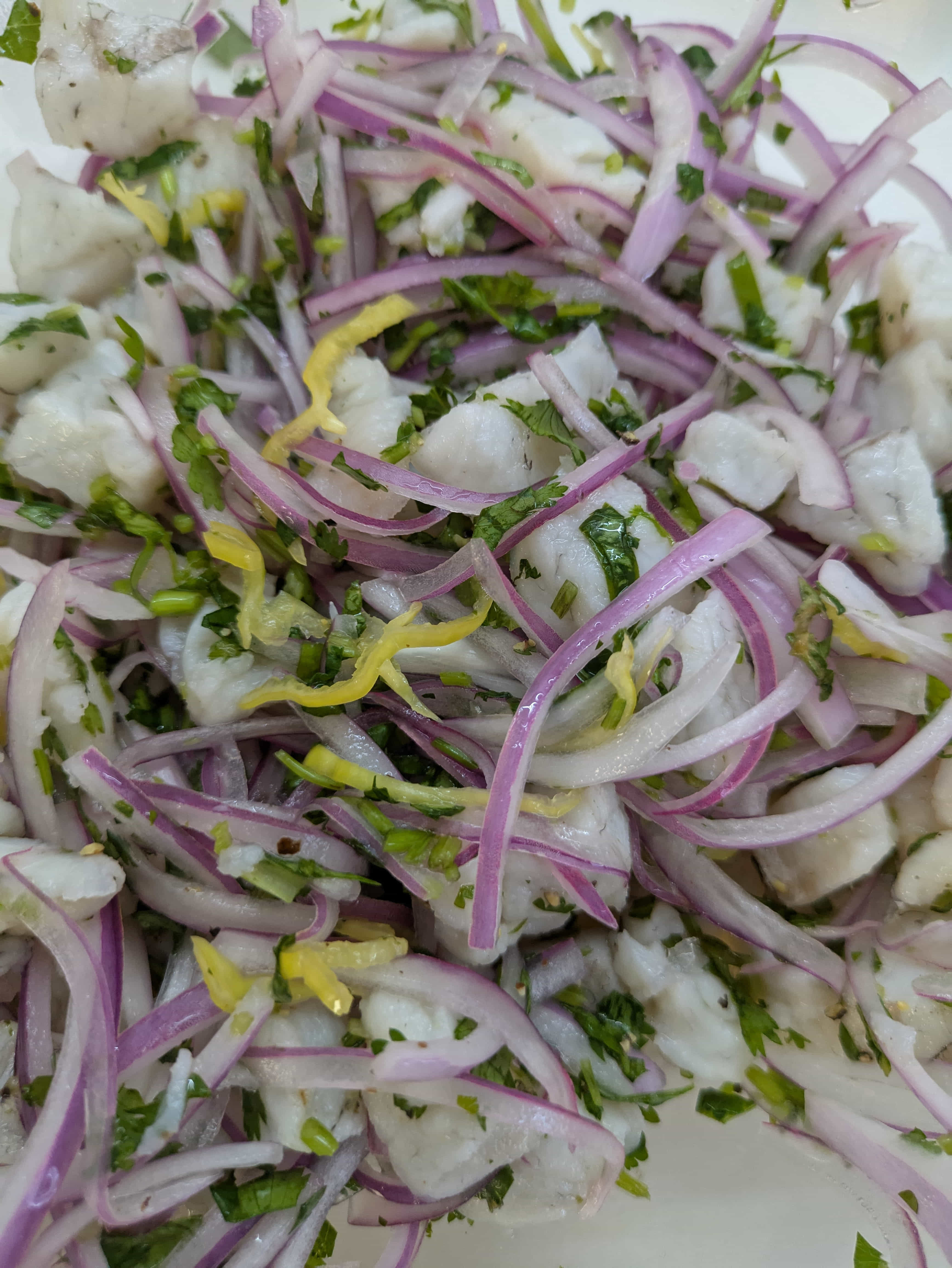 Zarza Expeditions Cancun adventure media 13 PXL_20250428_174532327